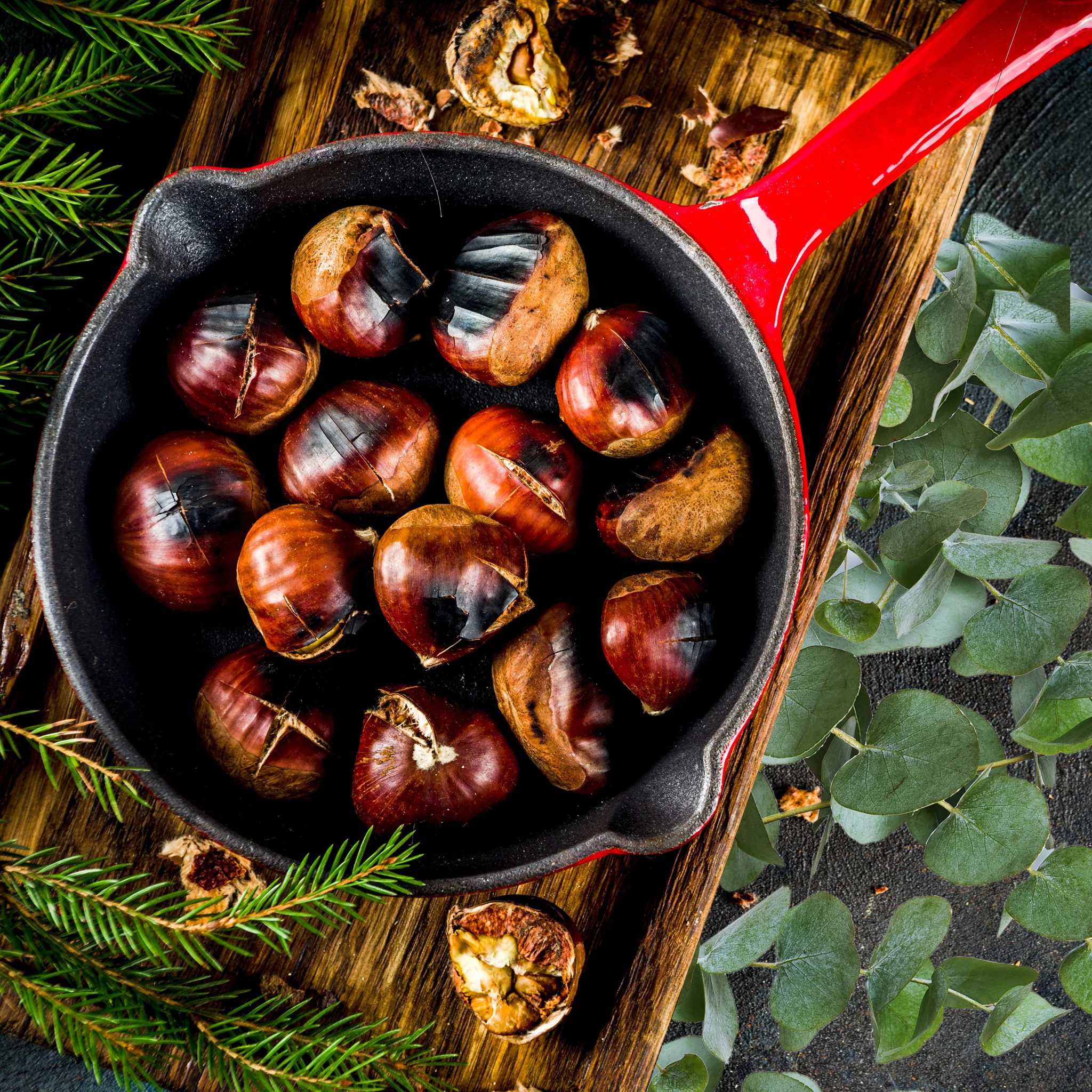 Alpine Eucalyptus Fragrance Oil