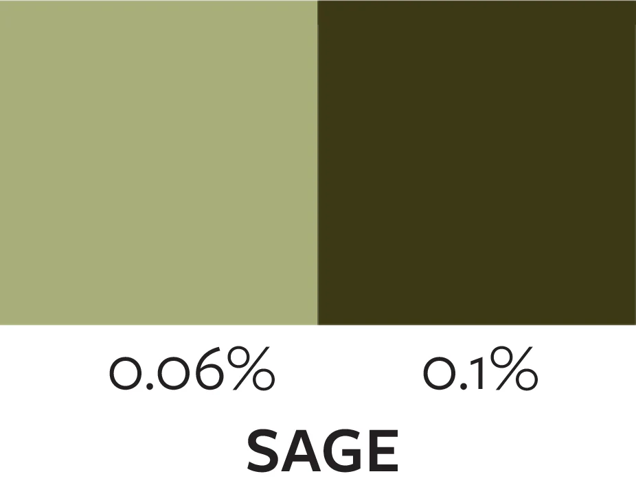 Jewel Tone Liquid Concentrate - Sage