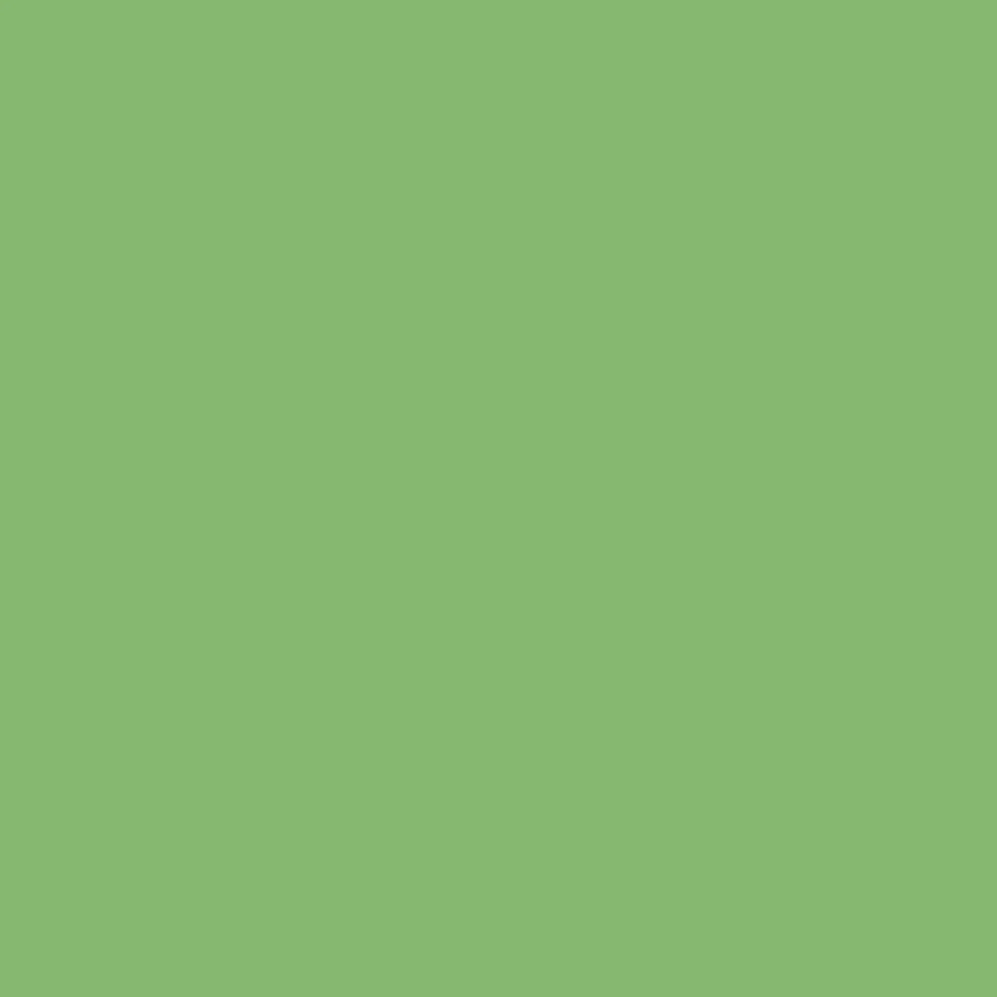 Reddig-Glo Diamond Dye Chips - Bright Green