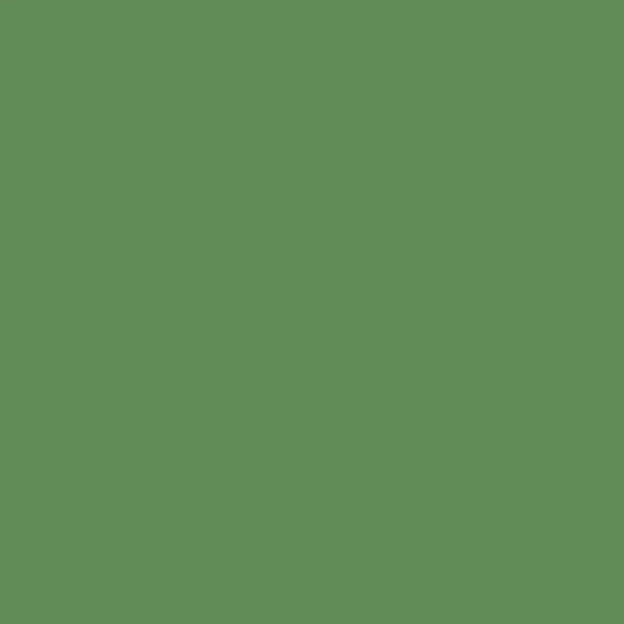 Reddig-Glo Diamond Dye Chips - Christmas Green
