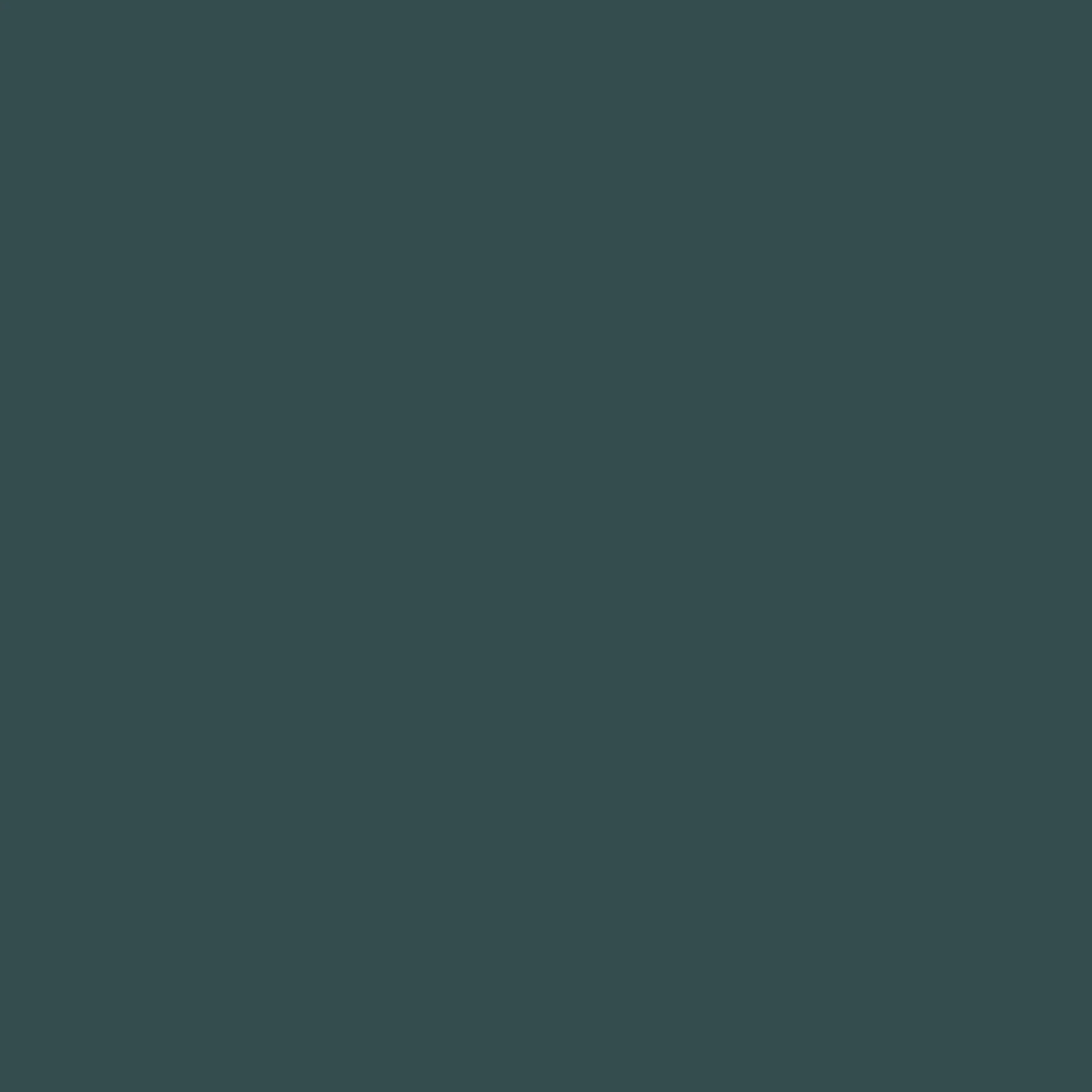 Reddig-Glo Diamond Dye Chips - Hunter Green