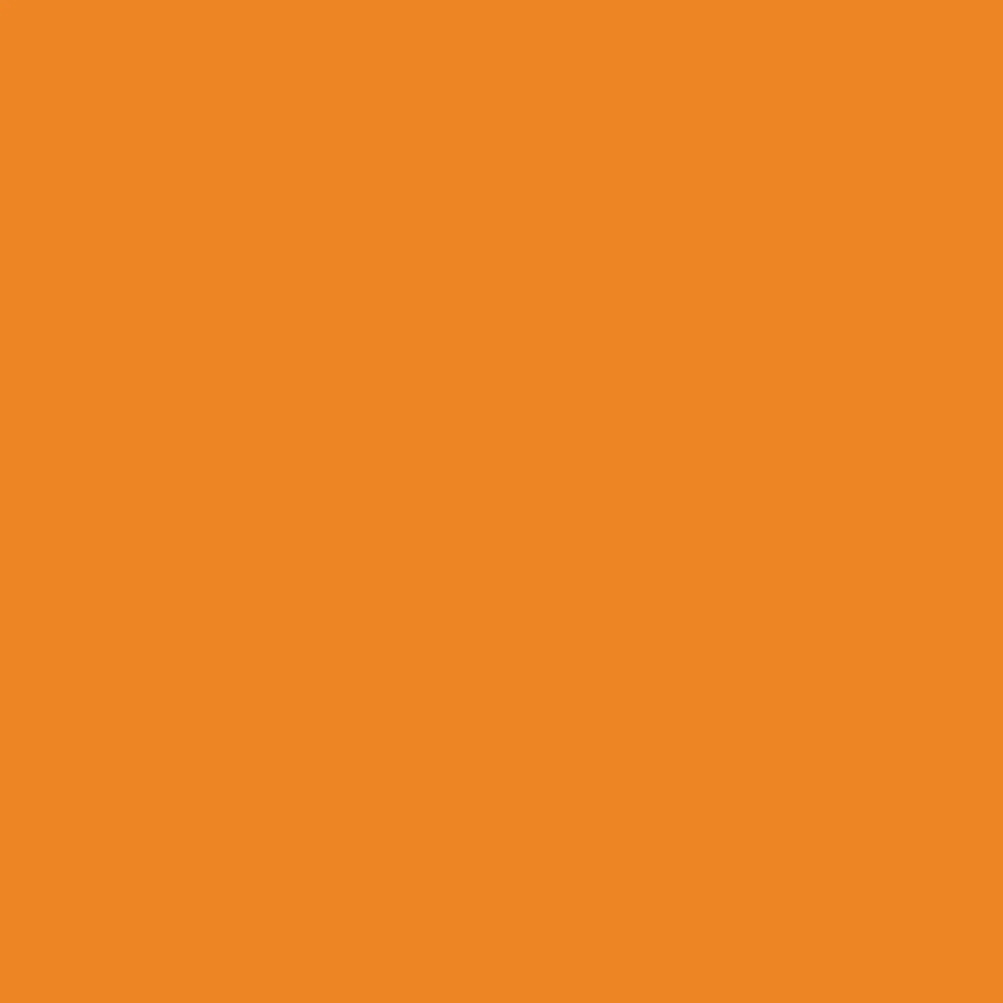 Reddig-Glo Diamond Dye Chips - Rust